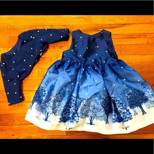 Beautiful Fancy dress size 3T